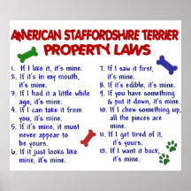 LE STAFFORDSHIRE TERRIER AMÉRICAIN PL2 AFFICHES