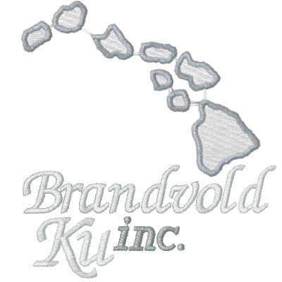 Le sweatshirt à capuchon des hommes de Brandvold K