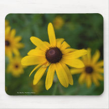 Le tapis de souris, Brown a observé Susan -