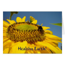 Le tournesol carde la terre saine ! Gaffez les car