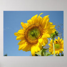 Le TOURNESOL Sun d'ART de BUREAU fleurit l'art d'i Affiche