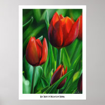 Le trio des tulipes rouges fleurissent la peinture affiche