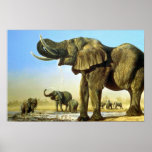Le trou d'eau, éléphants posters
