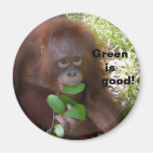 Le vert est bon aimant
