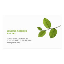 Le vert laisse le carte de visite