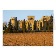 Le vignoble avec les vignes de syrah et le château cartes
