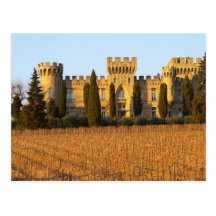 Le vignoble avec les vignes de syrah et le château carte postale