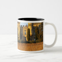 Le vignoble avec les vignes de syrah et le château tasse à café