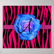 Le zèbre de roses indien barre le rose de bleu de  posters