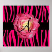 Le zèbre de roses indien barre le rose de rose de  affiches
