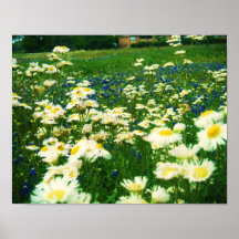 "L'Eart rit en fleurs" - Emerson Posters