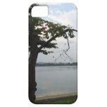 L'eau de négligence d'arbre étuis iPhone 5