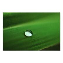 l'eau sur la feuille photos sur toile