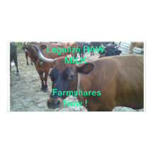 Légalisez le lait cru Farmshares Photocartes Personnalisées