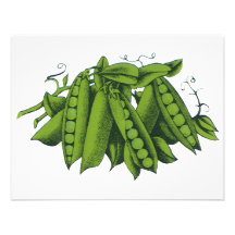 Légumes vintages ; Pois instantanés de sucre Bristols