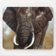 L'éléphant Taureau imprime des tapis de souris