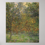 Lemon Grove dans Bordighera par Claude Monet Posters