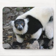 lemur8x10 tapis de souris