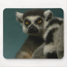 Lémur mignon tapis de souris
