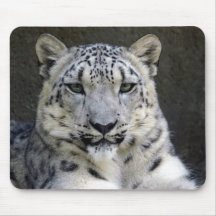 léopard de neige 24 tapis de souris