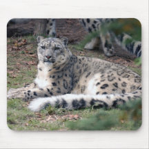léopard de neige 26 tapis de souris