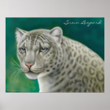 Léopard de neige mis en danger posters