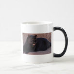 LÉOPARD NOIR tasses