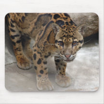 léopard opacifié 3 tapis de souris