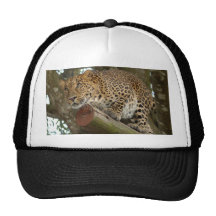 LeopardCheetaro007 Casquette De Camionneur