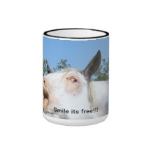 Les amants de cheval doivent avoir cette tasse !