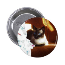 Les animaux familiers d'Owo : Hikaru Badges Avec Agrafe
