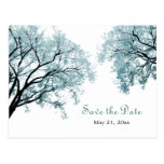Les arbres bleus en pastel - sauvez la carte posta cartes postales