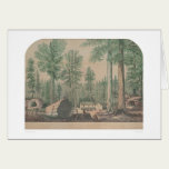Les arbres gigantesques de la Californie (1191) cartes