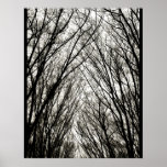 Les arbres nus - affiche