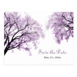 Les arbres pourpres en pastel - sauvez la carte po cartes postales