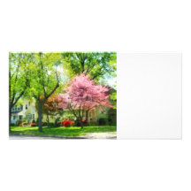 Les arbres sont fleurissants sur ma rue photocarte