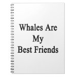 Les baleines sont mes meilleurs amis carnet