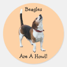 Les beagles sont un autocollant drôle de chien d'h
