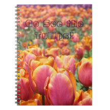 Les carnets de jardins de tulipe vont aux tulipes