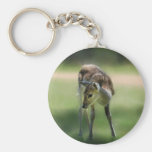 Les cerfs communs sont si doux porte-clef