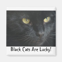 Les chats noirs sont chanceux ! Aimant