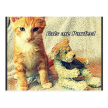 Les chats sont carte postale de Purrfect