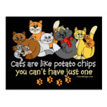 Les chats sont comme des pommes chips cartes postales