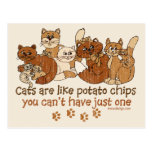 Les chats sont comme des pommes chips cartes postales
