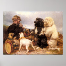 LES CHIENS CHANCEUX AFFICHES