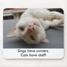 Les "chiens ont des propriétaires. Les chats ont l Tapis De Souris