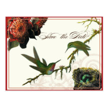 Les colibris rouges de Protea - sauvez la carte po