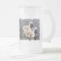 Les cygnes de bébé ont givré la tasse de bière