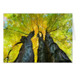 Les dames dansent, carte d'automne, automne, arbre