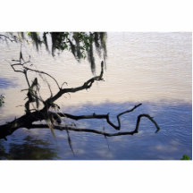 Les eaux calmes photos en relief